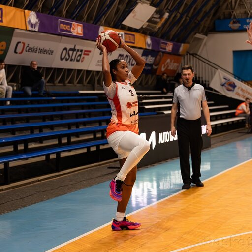 Preview proti Žabinám